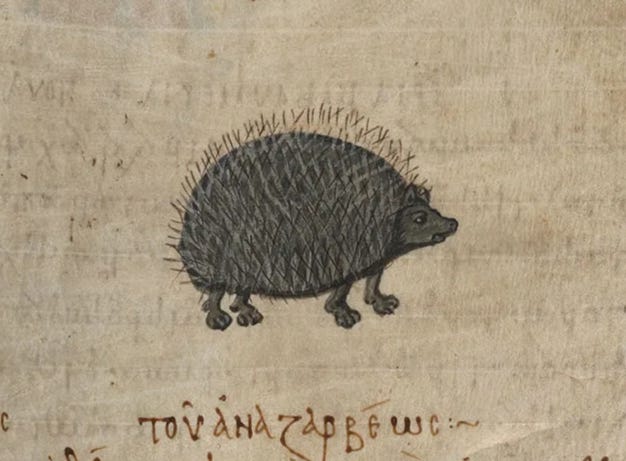Constantinople Hedgehog