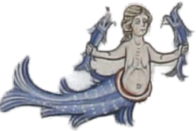 Cannibal Mermaid