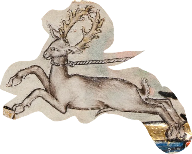 Deer Wang