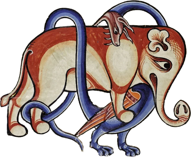 Draconibus