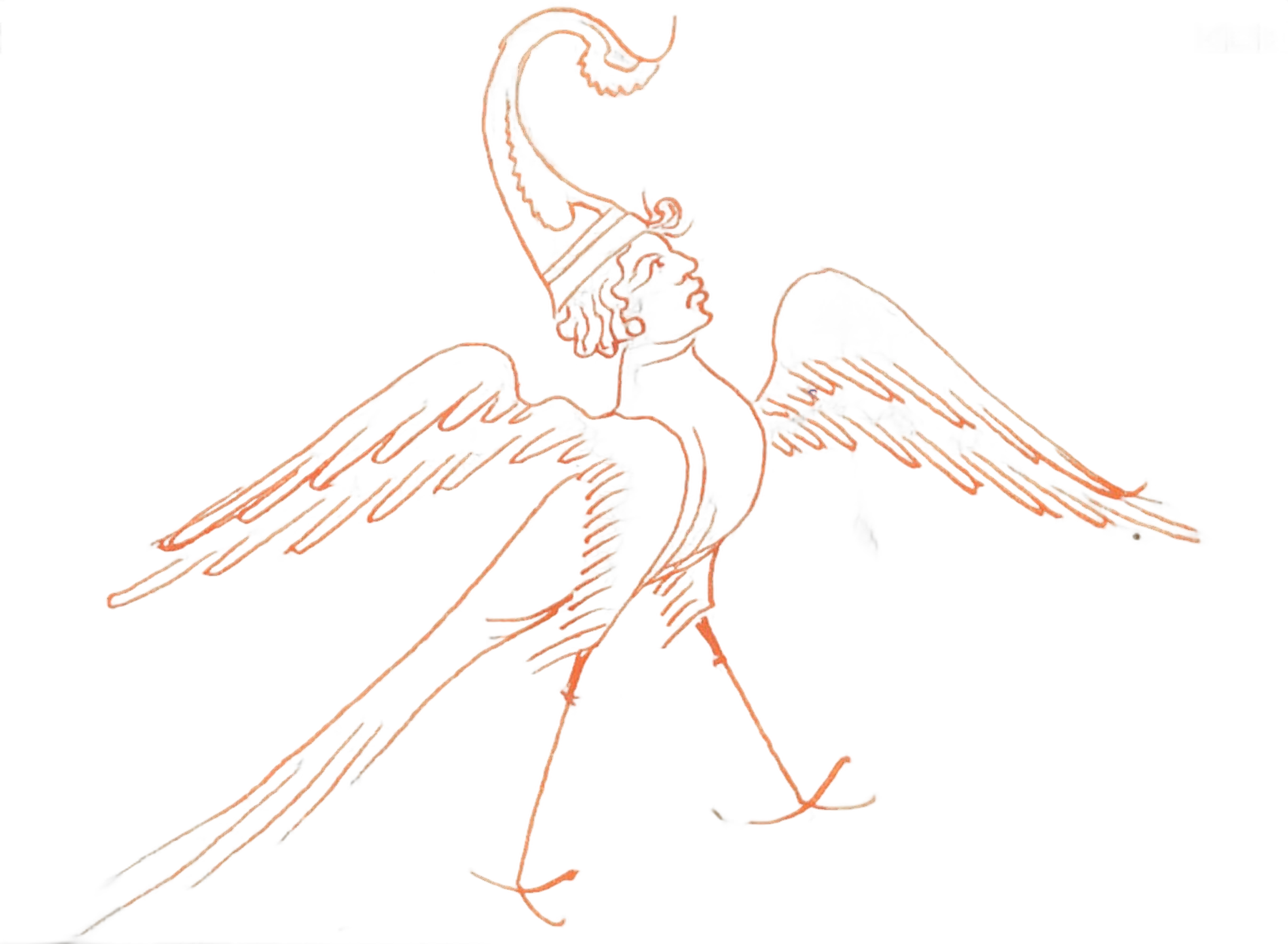 Duncebird