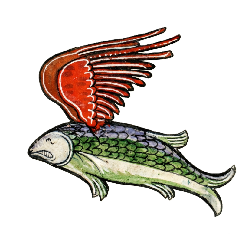 Flyfish
