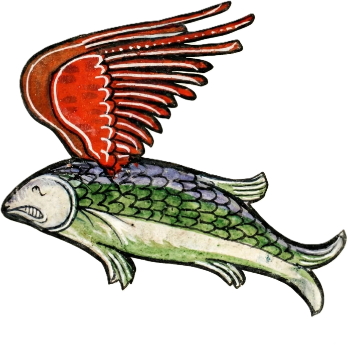 Flyfish