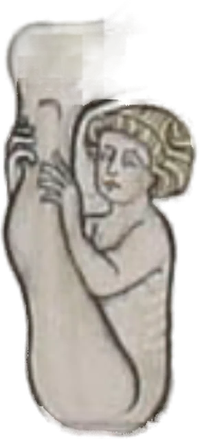 Homuncupod