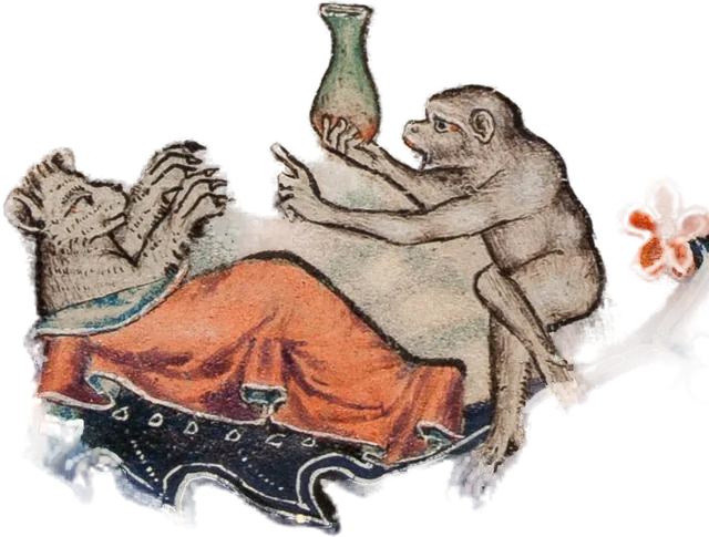 Monkey Physician
