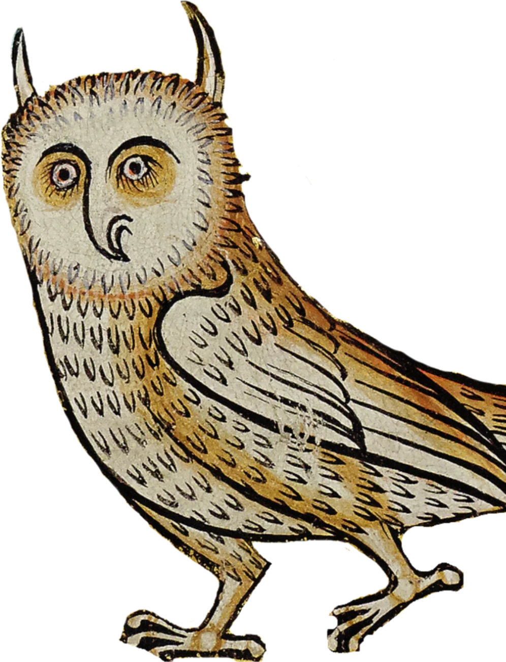 Orville