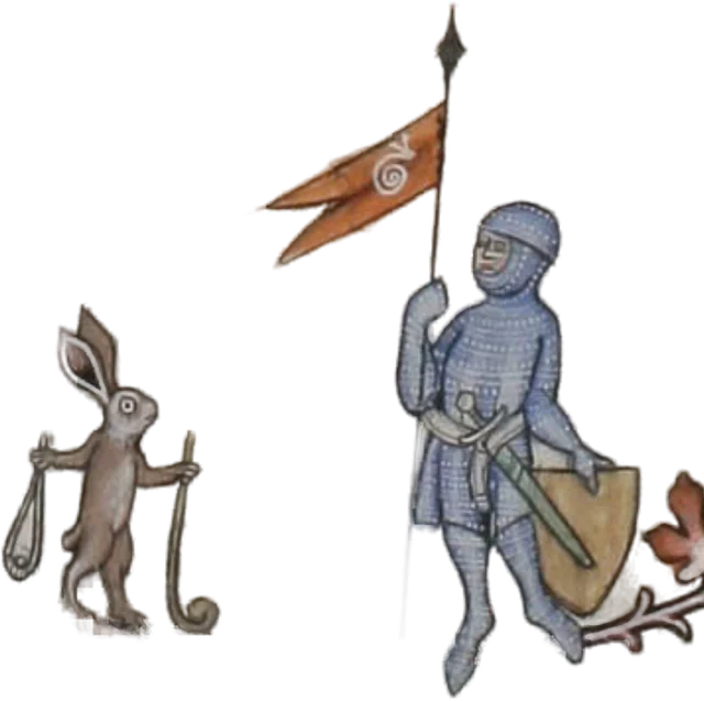 Rabbit And Knight