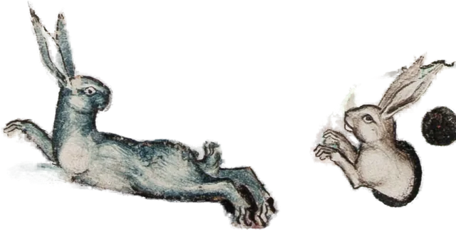 Rabbit Duo