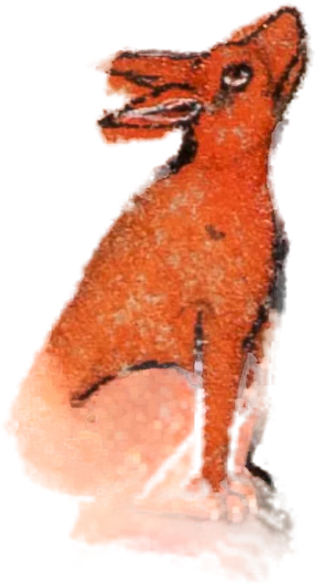 Red Fox